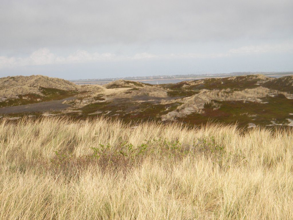 Sylt